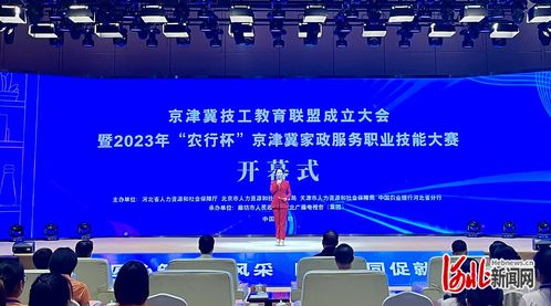 2023年農行杯京津冀家政服務職業技能大賽 信息技術咨詢服務的創新應用